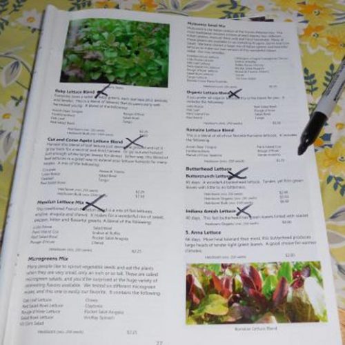 Seed Catalog Frenzy
